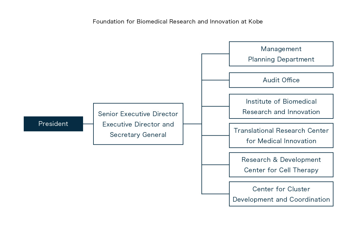 Foundation Organizational Chart