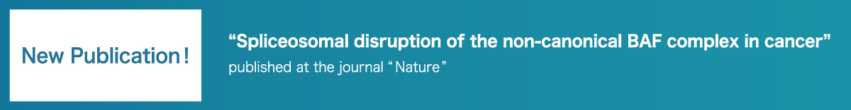 New Publication