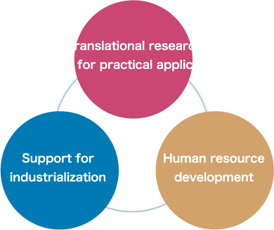 トランスレーショナルリサーチ（実用化に向けた研究開発） 産業化支援 人材育成
