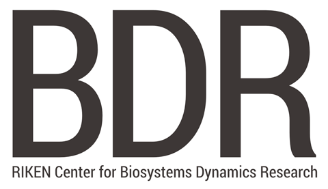 理化学研究所　神戸地区東エリア　生命機能科学研究センター