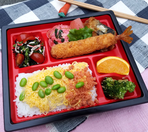 理研