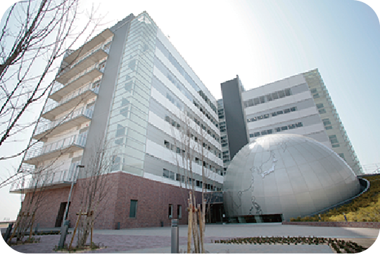 甲南大学フロンティアサイエンス学部(FIRST)