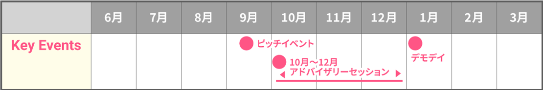 スケジュール