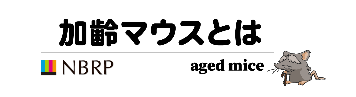 加齢マウスとは