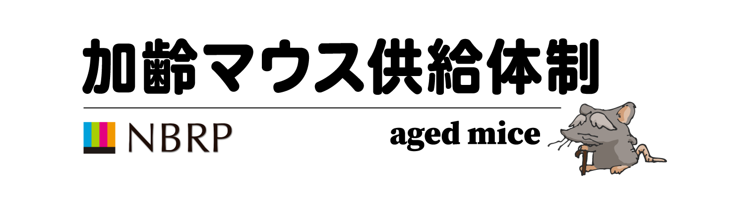 加齢マウス供給体制